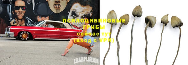 мет Бородино