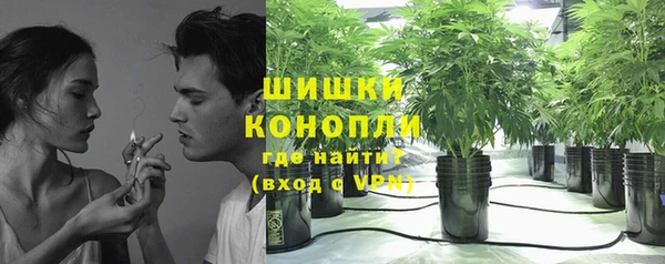 мет Бородино