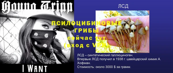 мет Бородино