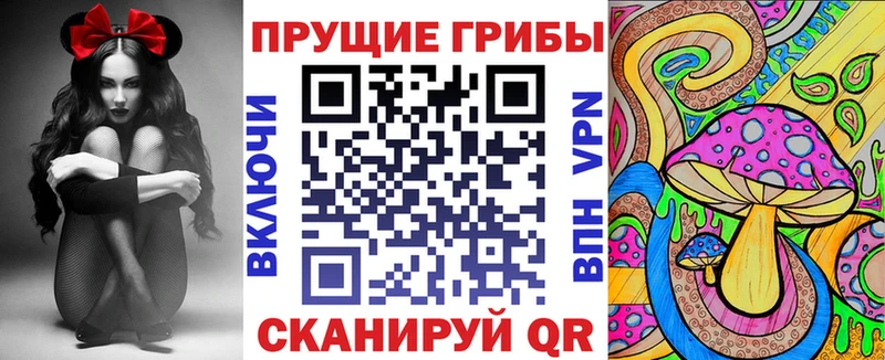 Псилоцибиновые грибы Psilocybe  кракен вход  Феодосия 